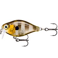 Воблер Rapala X-Light Crank Shallow Runner 35F, 3,5 см, 4 г, 1,2 м, GGIU, купити, ціна, Київ, Україна | Zabros