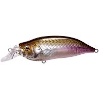 Воблер Megabass IxI Shad Type-R 57SF, 5,7 см, 7 г, 1 м, HT Wakasagi, купить, цена, Киев, Украина | Zabros