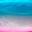 UV Pink Belly UV Pink Belly