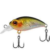 Воблер Select Prank 36F, 3,6 см, 3,1 г, 0,5 м, 24, купити, ціна, Київ, Україна | Zabros