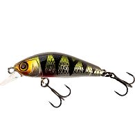 Воблер Jackall Chubby Minnow 35SP, 3,5 см, 2,3 г, 0,5 м, HL Perch, купить, цена, Киев, Украина | Zabros