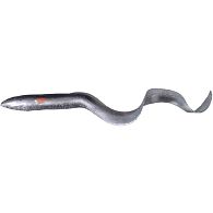 Силікон Savage Gear 3D Real Eel, 5,90", 15 см, 12 г, 1 шт, 20: купити, ціна, Київ, Україна | Zabros