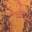 Velocity Print Orange