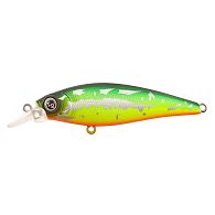 Воблер Lucky John X-Shad 75F, 7,5 см, 8 г, 1 м, LJE04075-E352, купить, цена, Киев, Украина | Zabros