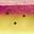 UV Crush Candy UV Crush Candy