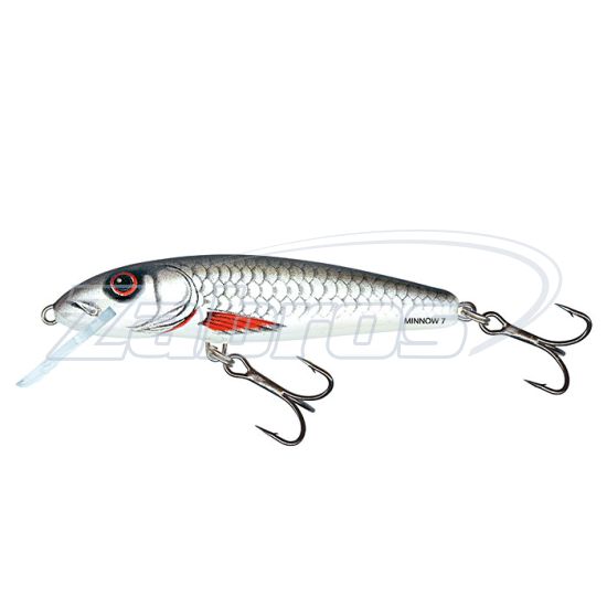 Фото Salmo Minnow, 6 см, 4 г, 1 м, M6F-D