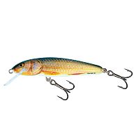 Воблер Salmo Minnow, 9 см, 10 г, 1,2 м, M9F-RR, купить, цена, Киев, Украина | Zabros