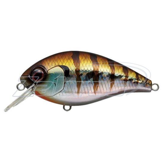 Фото Ever Green Combat Crank Shallow Hawg, 6,9 см, 19 г, 1 м, 50