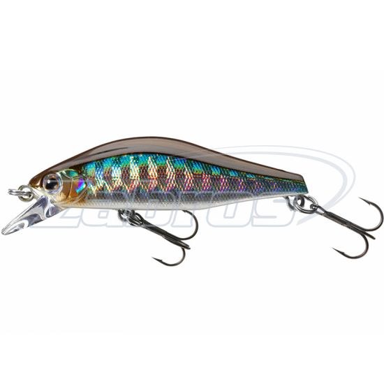 Фото Daiwa Tournament Wise Minnow 50FS, 16711-207, 5 см, 5,2 г, Kibinago Фото Daiwa Tournament Wise Minnow 50FS, 16711-207, 5 см, 5,2 г, Kibinago