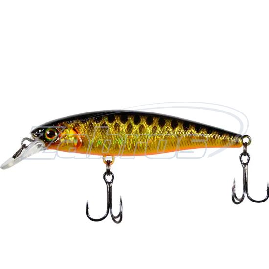 Фото Jackall Squad Minnow 65SP, 6,5 см, 5,8 г, 1 м, HL Gold & Silver Black