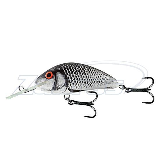 Фото Salmo Hornet, 9 см, 36 г, 6 м, H9F-TT