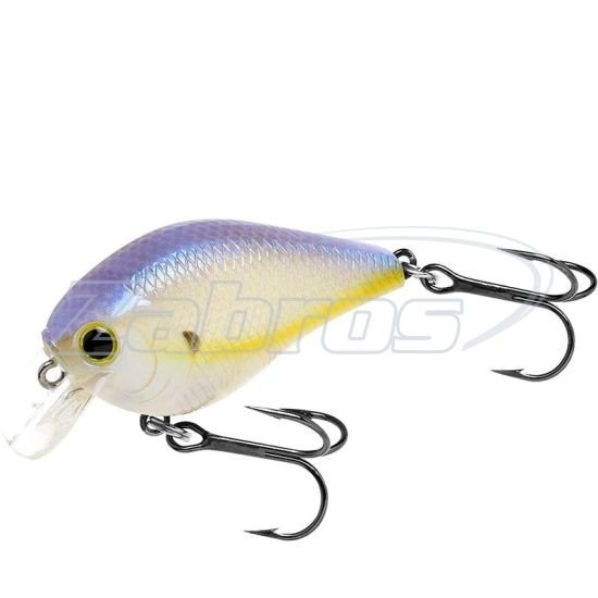 Фотография Lucky Craft Fat CB BDS 1, 4,9 см, 7 г, 0,3 м, FATCBBDS1-250CRSD