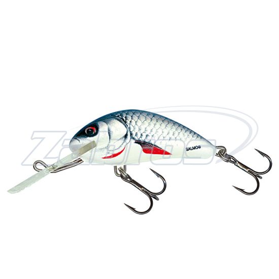 Фото Salmo Hornet, 3,5 см, 2,2 г, 1,5 м, H3F-D