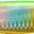 GG Gold Lime Rainbow