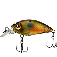 Воблер Smith Camion Magnum SR, 3,6 см, 3,1 г, 0,5 м, 35, купити, ціна, Київ, Україна | Zabros