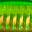 PHA0055 PHA0055