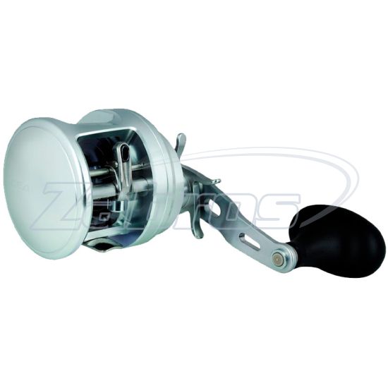 Фотография Shimano Ocea Calcutta, 5RH710301