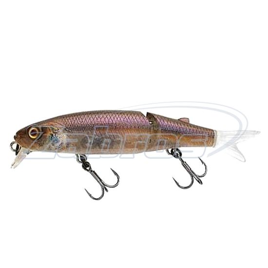 Фото Jackall Tiny Magallon 88SP, 8,8 см, 7,2 г, 0,8 м, RT Wakasagi Фото Jackall Tiny Magallon 88SP, 8,8 см, 7,2 г, 0,8 м, RT Wakasagi