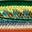 Silver Green Orange Berry