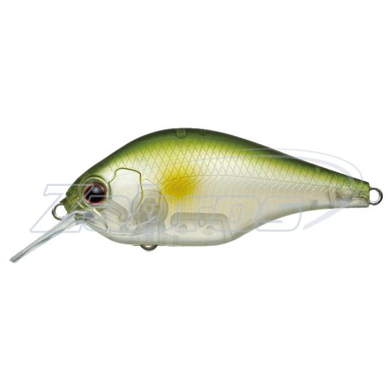 Фото Ever Green Zeruch, 7,2 см, 19,5 г, 1,5 м, 27