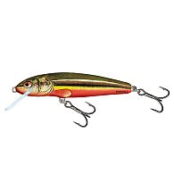 Воблер Salmo Minnow, 9 см, 10 г, 1,2 м, M9F-RBD, купить, цена, Киев, Украина | Zabros