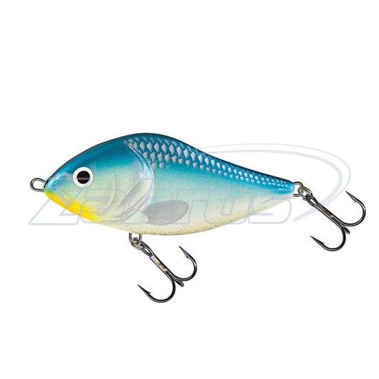 Фото Salmo Slider, 10 см, 36 г, 1 м, SD10F-BBH