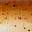 Rust Glow Rust Glow