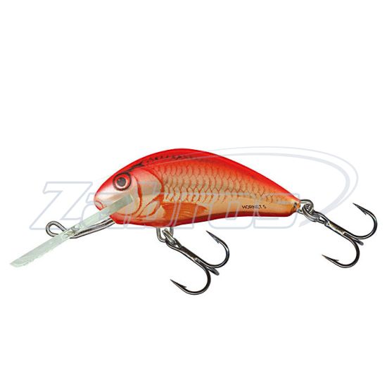 Фото Salmo Hornet, 6 см, 10 г, 3 м, H6F-OC