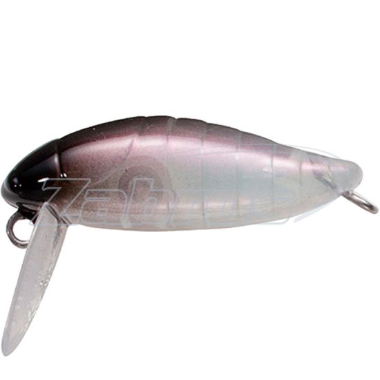 Фото Tackle House Elfin Cicada 38F, 3,8 см, 2,6 г, 0,2 м, Aurora Black