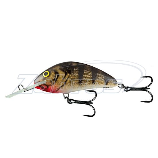 Фото Salmo Hornet, 9 см, 36 г, 6 м, H9F-EP