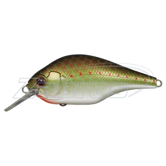 Фото Ever Green Zeruch, 7,2 см, 19,5 г, 1,5 м, 373