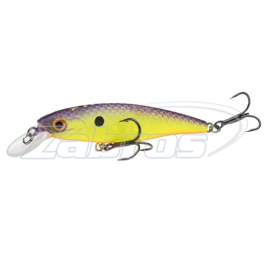 Фото Bearking Squad Minnow 65SP, 6,5 см, 6 г, 1 м, C