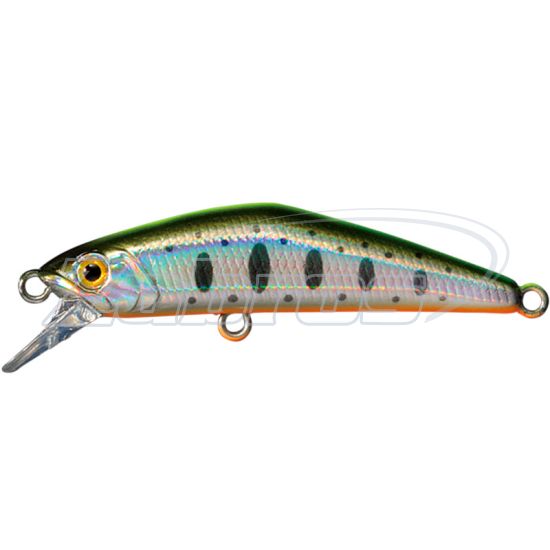 Фото Smith D-Compact 45FS, 4,5 см, 3,5 г, 1 м, 13 Фото Smith D-Compact 45FS, 4,5 см, 3,5 г, 1 м, 13