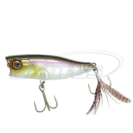 Фото Jackall Chubby Popper 42F, 4,2 см, 3,3 г, Ghost Wakasagi