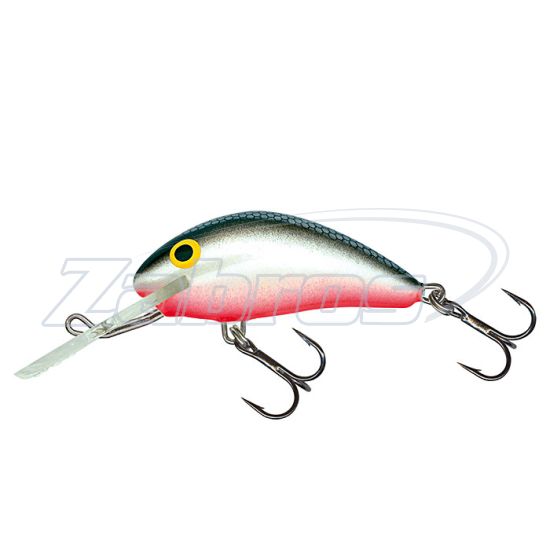 Фото Salmo Hornet, 2,5 см, 1,5 г, 1 м, H2S-GS