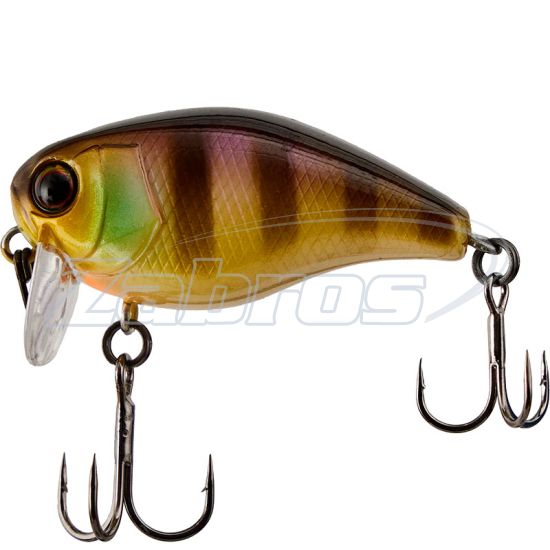 Фото Jackall Chubby 41F SSR, 4,1 см, 5,5 г, 0,6 м, Noike Gill