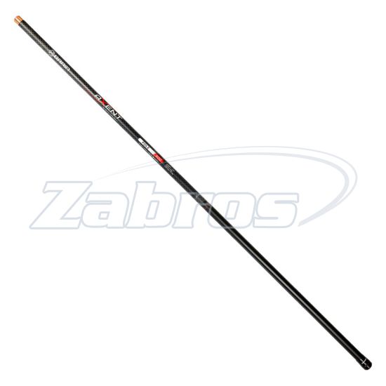 Фото Brain Axent Pole, 6,88 м, 10-30 г