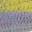 Threadfin Shad