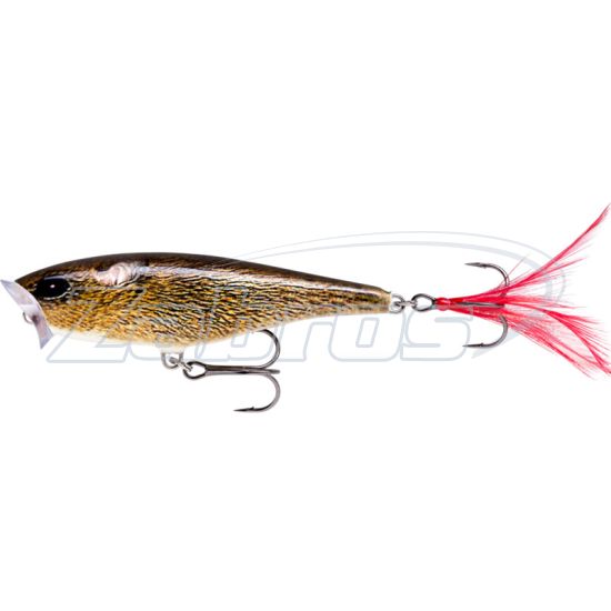 Фото Rapala Skitter Pop 70F, 7 см, 7 г, FML