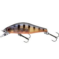 Воблер Daiwa Tournament Wise Minnow 50FS, 16711-205, 5 см, 5,2 г, Pearl Ghost Perch, купить, цена, Киев, Украина | Zabros